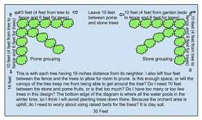 Maybe you would like to learn more about one of these? High Density Backyard Orchard