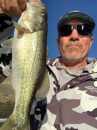 Caught first decent BFT after back fusion