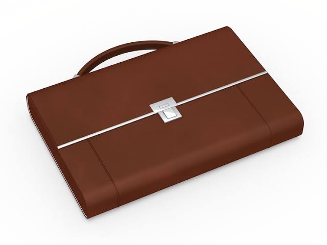 Laptop Bag 2