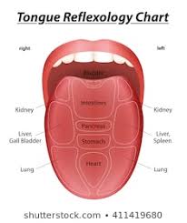 Royalty Free Tongue Diagnosis Stock Images Photos Vectors