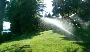 You just have to be resourceful and knowledgeable about your lawn and how to water lawn the right way. Watering Lawn