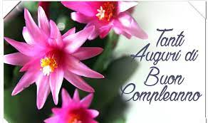 Come inviare la sorpresa perfetta. Immagini Di Auguri Buon Compleanno Con Fiori Imtinaan Malik