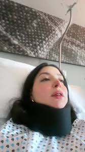 Perritos Chihuahua Manejando