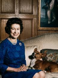 Isometric silhouette of queen elizabeth icon isolated on orange and red background. A Royal Common Bitch With A Young Queen Elizabeth Ii Commonbitch