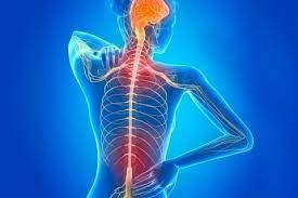 Amyotrophic lateral sclerosis is a neurodegenerative neuromuscular disease that results in the progressive loss of motor neurons that control voluntary muscles. Manejo Nutricional De La Esclerosis Lateral Amiotrofica Resumen De Recomendaciones Grupo De Trabajo Senpe