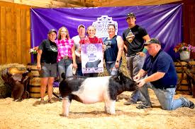 Edson Hilltop 4-H Club Members have exceptional week at Northern Wisconsin  State Fair, July 10-14