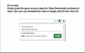 This video downloader chrome supports most of the major sites including dailymotion, vimeo, youtube, myspass and clipfish among others. Video Downloader Profesional Chrome Extension Ali Brother Soft