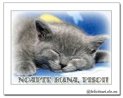 Mesajele de noapte buna, mai ales daca incerca sa transmita si un simtamant de dragoste, par a fi pentru unii prea stravezii in limba romana, si good night. Noapte Buna Salutari Felicitari Ele Ro