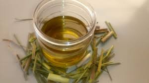 3 how long have people been using lemongrass essential oil for? Lemongrass Oil How To Make Lemongrass Essential Oil At Home Jotscroll