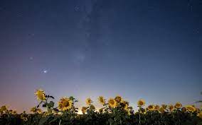 Meteor shower dates for 2021 perseid meteor shower. Perseid Meteor Shower 2021 When To See It Peak In The Uk Plus Other Dates To Watch Out For