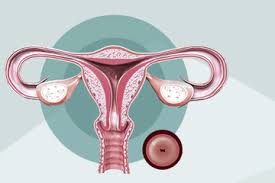 Sebelum melakukan pap smear pertama kali, apa saja yang harus dilakukan? Berita Apa Itu Pap Smear Terbaru Hari Ini Cewekbanget
