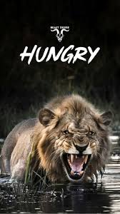  Beastdesire Lion Quotes Beast Quotes Wild Animals Photography