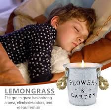 MUOIVG Set di 2 Candele Citronella Profumate, per Giardino, grande  capacità,13.5OZ*2,100% Cera di Soia Naturale per Terrazza, Picnic,  Campeggio, Feste ed Eventi Interno ed Esterno : Amazon.it: Casa e cucina