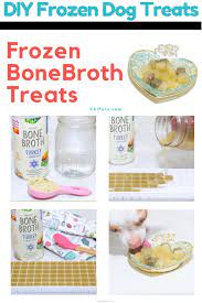 Bone Broth Frozen Treats For Dogs Diy Frozen Dog Treat Recipe Chi Pets Frozen Dog Frozen Dog Treats Diy Dog Food