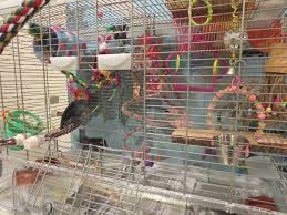 Hagen Vision Bird Cage Vision Bird Cage Budgies Bird Cage