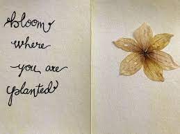 Dried Flower Card
