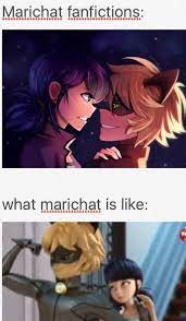 Marichat Is The Best Ship Miraculous Ladybug Anime Miraculous Ladybug Memes Miraculous Ladybug Funny