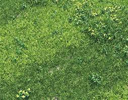 Check Out New Work On My Behance Profile Grass England Garden Http Be Net Gallery 90040855 Grass England Garden Grass Garden Landscape Design