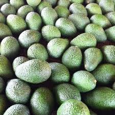 Image result for Avocado 1957 Hudson