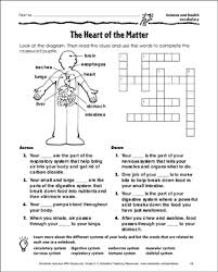 The Heart Of The Matter Science And Health Vocabulary