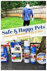 How To Keep Pets Safe And Happy This Summer Mom S Magical Miles Pet Safe Fleas Pets