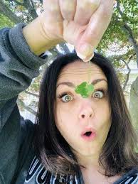 Shop, 101 W 1st Ave, Lake View, SC 29563, US