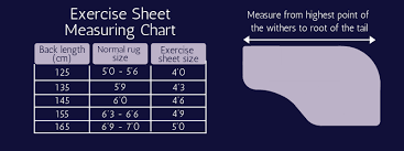 Choosing An Exercise Sheet