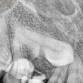 Radiation Safety  (X-Ray)  $695 event image
