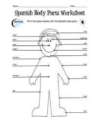 Worksheet will open in a new window. French Body Parts Label Worksheet Answer Key By Sunny Side Up Resources