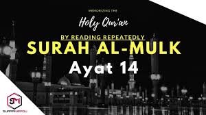 Read or listen al quran e pak online with tarjuma (translation) and tafseer. Surah Al Mulk Ayat 14 Qs 67 14 Tafsir Alquran Surah Nomor 67 Ayat 14