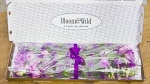 Their business is allowing customers to easily order their british designs to send in seconds and to be delivered next day through the letterbox. Bloom Wild In 60 Seconds Youtube