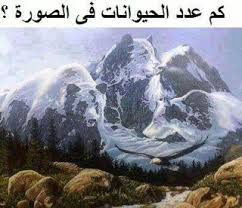 سكولي موضع علم الصوتيات لغز كم وجه في الصورة مع الحل comertinsaat com