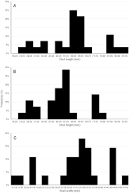 Click to see our best video content. The Biology And Functional Morphology Of Meretrix Cf Meretrix Bivalvia Veneridae Meretricinae At Tong Fuk Miu Wan Shui Hau Lantau Island Hong Kong Sciencedirect