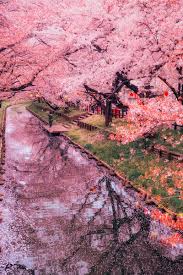 Thilbo Bagginshield Beautiful Landscapes Landscape Landscape Photography