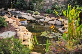 We did not find results for: 24 Stunning Koi Pond Design Ideas