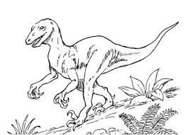 Today, you can bring back the deinonychus back into life by coloring them. Dinosaur Coloring Pages Page 1
