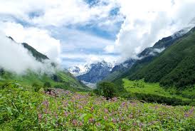 Situated at an altitude of 3,658 meters above sea level, the mesmerizing valley lies in the west himalayas of uttarakhand. The Magical Valley Of Flowers Savaari Blog