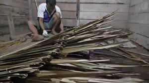 Tumis tumisdaunubi masak gulai tumis daun ubi malaysia yang kita bawa dari kampung halaman. Selama 24 Tahun Tak Tersentu Bantuan Pemerintah Detikawanua Com
