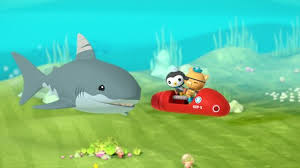 You will watch the octonauts season 1 episode 20 online for free episodes with hq / high quality. Octonauts Netflix