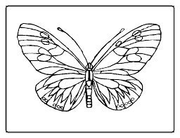 These free, printable butterfly coloring pages of various butterflies provide hours of fun for kids. Butterfly Coloring Pages