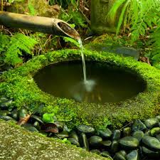 We did not find results for: How To Overcome A Boggy Or Wet Garden Build