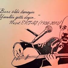 Neset Ertas Diye Yazilir Nese Dert Diye Okunur Dert Sozleri Kitap Depolama Kitap Alintilari