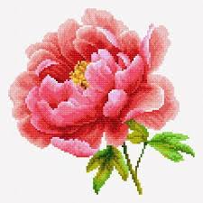 Pinterest free cross stitch patterns. Cross Stitch Patterns Free Knittting Crochet Knittting Crochet Cross Stitch Flowers Floral Cross Stitch Cross Stitch Patterns
