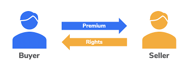 Underlying asset are the financial assets upon which a derivative's price is based. Bitcoin Options An Introduction By Sparrow The Capital Medium