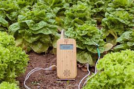 Music of plants is an innovative project that allows us to communicate with nature, giving voice to our interaction with plants. Maker Faire Music Of The Plants Discover How Plants Can Communicate With You