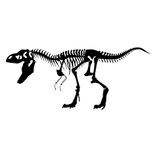Details About Tyrannosaurus T Rex Dinosaur Skeleton Wall Art Sticker Decal X Large As10026 Malvorlage Dinosaurier Kinder Malerei Und Skelette