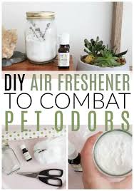 Add baking soda to your mason jar until it is about 2/3 full. Diy Air Freshener To Combat Pet Odors Diy Passion