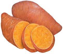 Sweet Potatoes Vegetable Illustration Watercolor Food Illustration Sweet Potato Slices