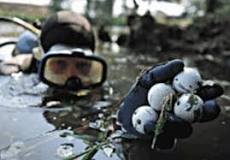 Image result for how much does a golf ball retriever make