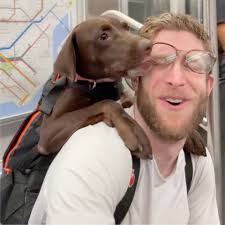 Man Befriends Squirrels During a Dark Period in His Life. And Then  Something Unexpectedly Beautiful Happened (Exclusive)